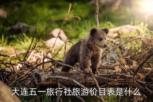大连五一旅行社旅游价目表是什么