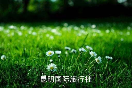 昆明国际旅行社