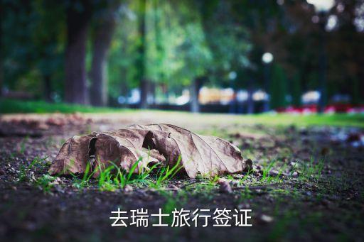 去瑞士旅行签证