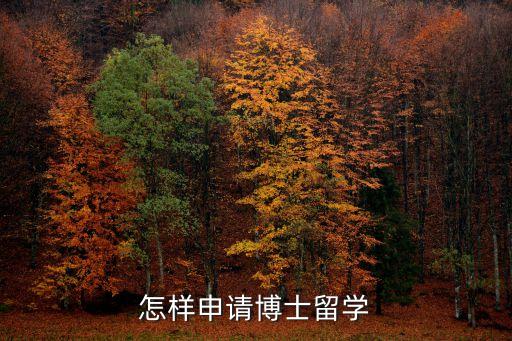 怎样申请博士留学