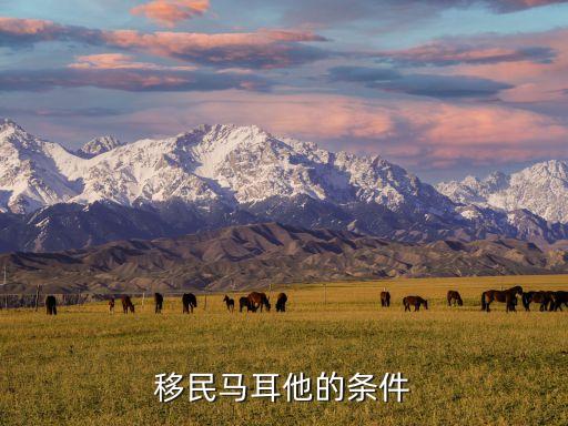 移民马耳他的条件