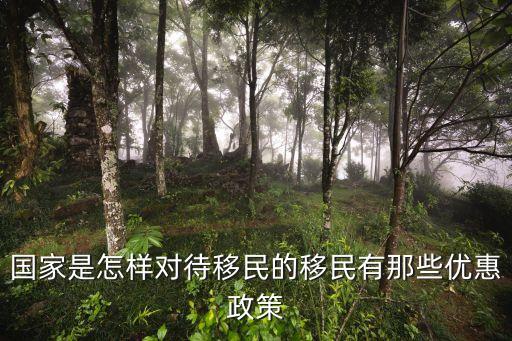 国家是怎样对待移民的移民有那些优惠政策