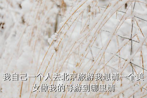我自己一个人去北京旅游我想请一个美女做我的导游到哪里请