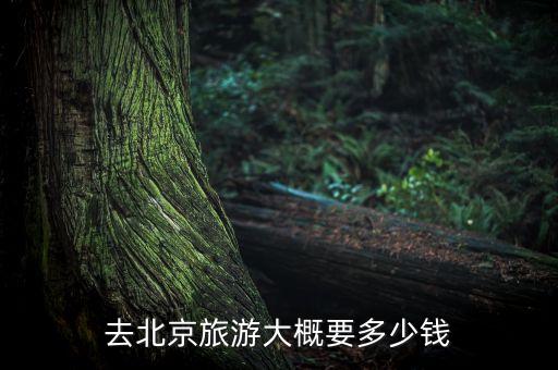 去北京旅游大概要多少钱
