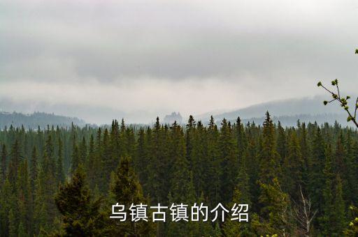 嘉兴乌镇景点介绍，求一份乌镇景点介绍
