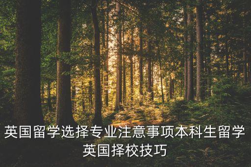 英国留学选择专业注意事项本科生留学英国择校技巧