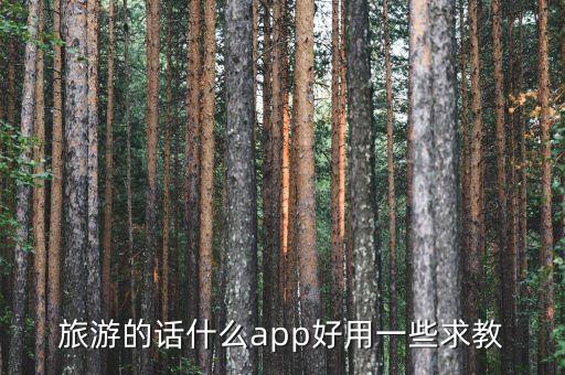 旅游的话什么app好用一些求教