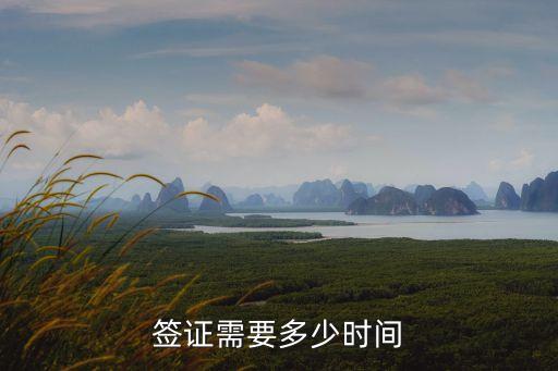签证需要多少时间