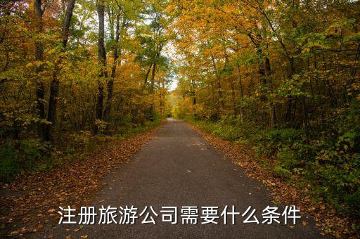 怎么开旅行社需要哪些条件，注册旅游公司需要什么条件
