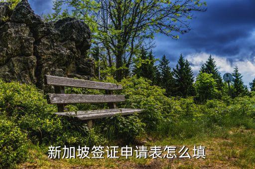 新加坡旅游签证申请表，新加坡签证申请表格Form 14A怎么填