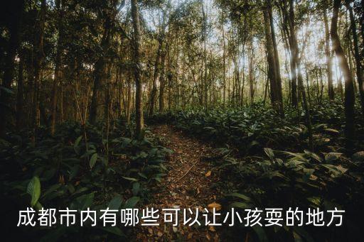 成都市内有哪些可以让小孩耍的地方
