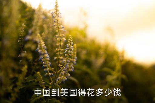 中国到美国得花多少钱
