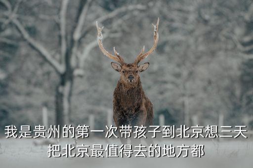 我是贵州的第一次带孩子到北京想三天把北京最值得去的地方都