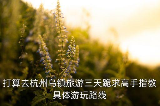 打算去杭州乌镇旅游三天跪求高手指教具体游玩路线