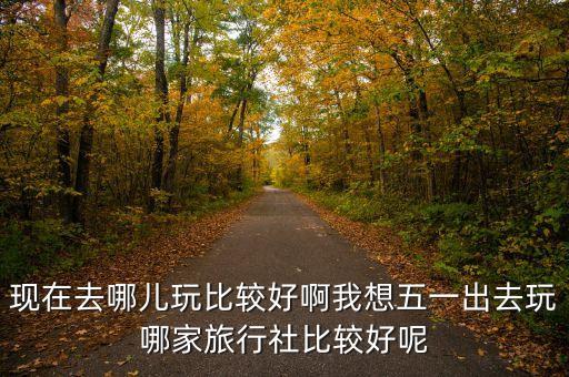 现在去哪儿玩比较好啊我想五一出去玩哪家旅行社比较好呢