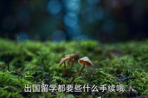 出国留学都要些什么手续哦