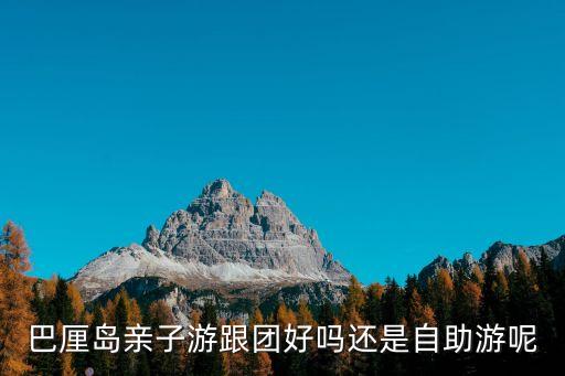 巴厘岛亲子游跟团好吗还是自助游呢