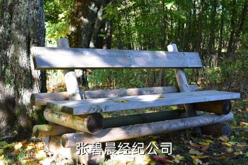 张碧晨经纪公司