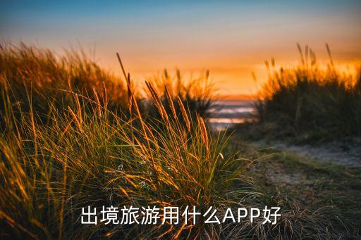 出境旅游用什么APP好