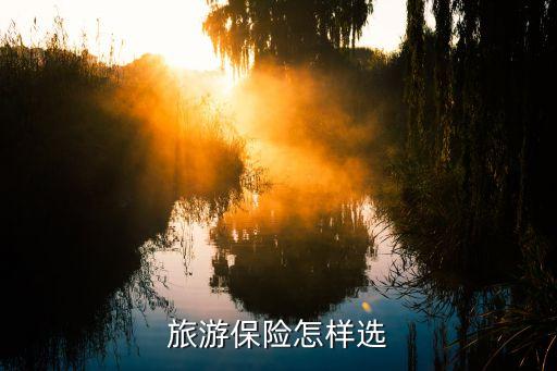 旅游保险怎样选