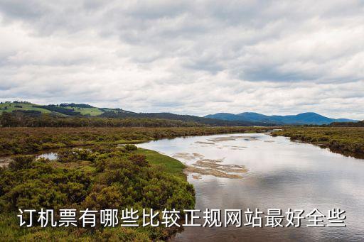 订机票有哪些比较正规网站最好全些