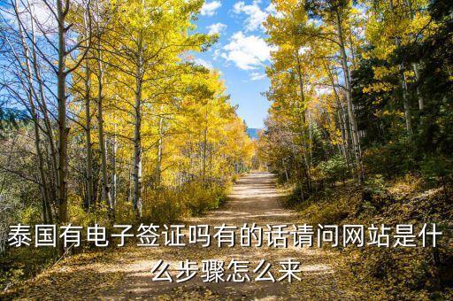如何下载泰国电子签证app，泰国有电子签证吗有的话请问网站是什么步骤怎么来