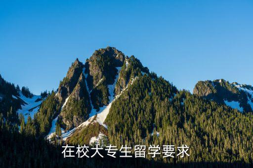 在校大专生留学要求