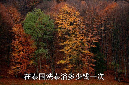 在泰国小姐一次要花多少人民币，去泰国做人妖要花多少钱