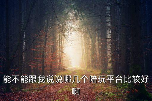 能不能跟我说说哪几个陪玩平台比较好啊