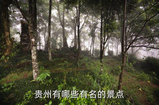 贵州有哪些有名的景点