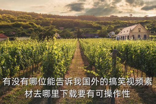 有没有哪位能告诉我国外的搞笑视频素材去哪里下载要有可操作性