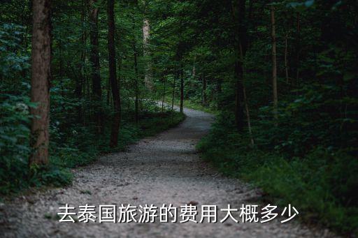 兰州到泰国旅行团报价，去泰国旅游的费用大概多少