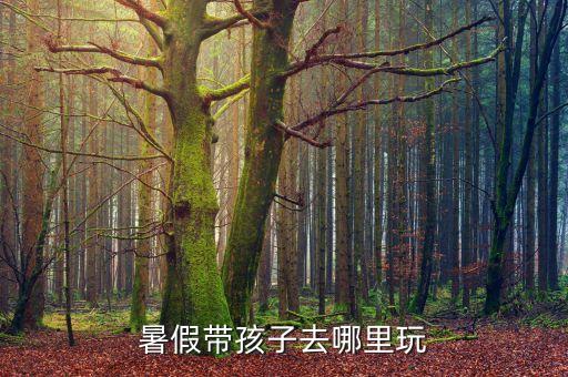 暑假带孩子去哪里玩