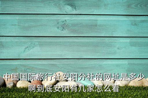 中国国际旅行社安阳分社的网址是多少啊到底安阳有几家怎么看
