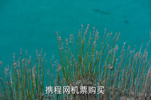 携程网机票购买