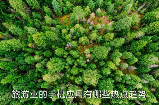 旅游业的手机应用有哪些热点趋势