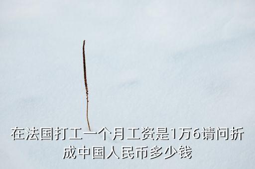在法国打工一个月工资是1万6请问折成中国人民币多少钱