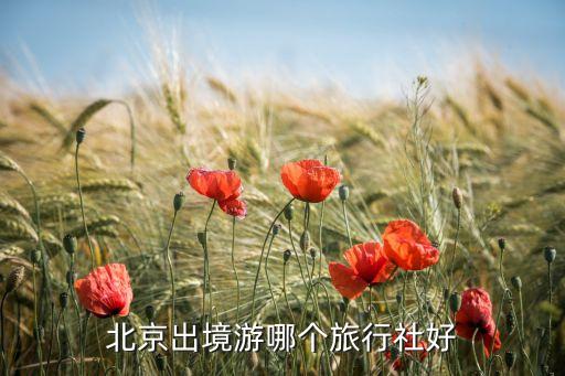 北京兴液国际旅行社怎么样，这个旅行社怎么样