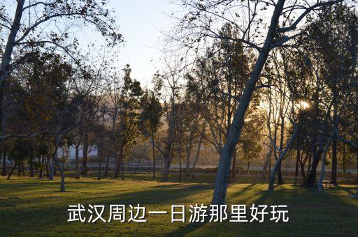 武汉周边一日游那里好玩