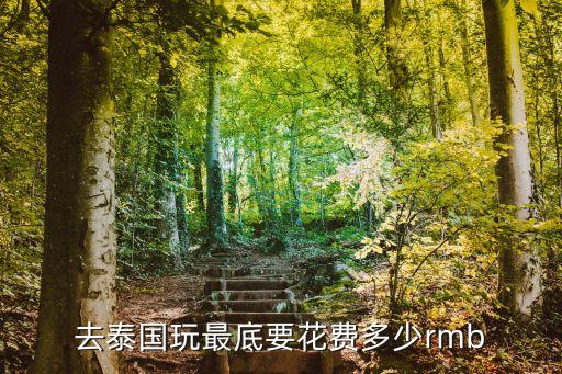 去泰国费用大概多少，去泰国玩一趟要多少钱