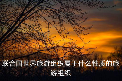 联合国世界旅游组织属于什么性质的旅游组织