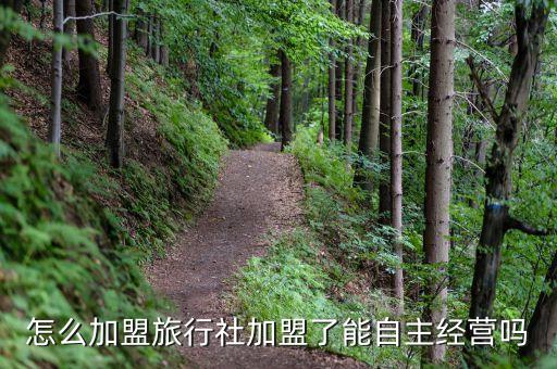 怎么加盟旅行社加盟了能自主经营吗