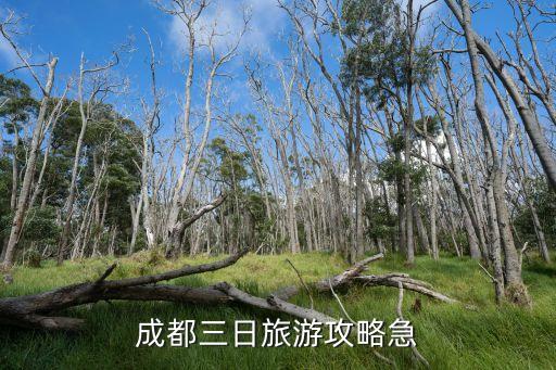 成都三日旅游攻略急