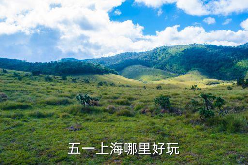 五一上海哪里好玩
