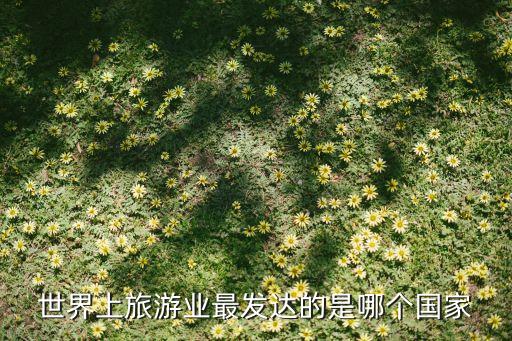 世界上旅游业最发达的是哪个国家