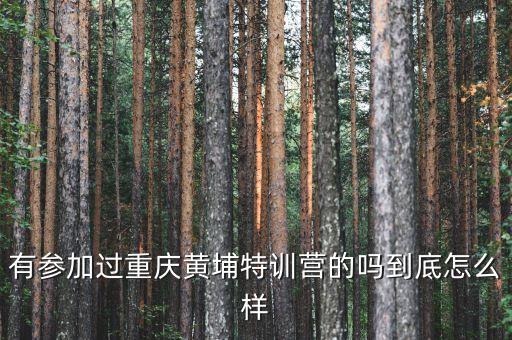 有参加过重庆黄埔特训营的吗到底怎么样