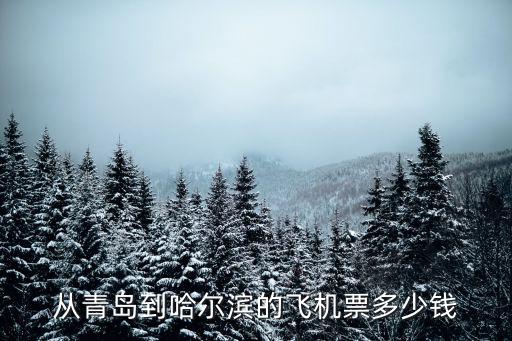 从青岛到哈尔滨的飞机票多少钱