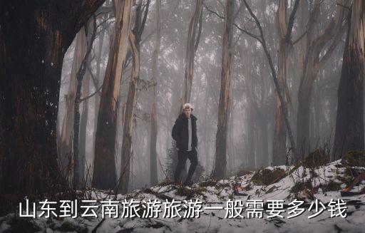 山东到云南旅游旅游一般需要多少钱