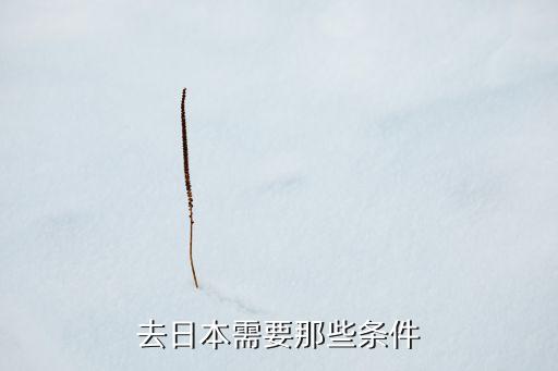 去日本需要那些条件