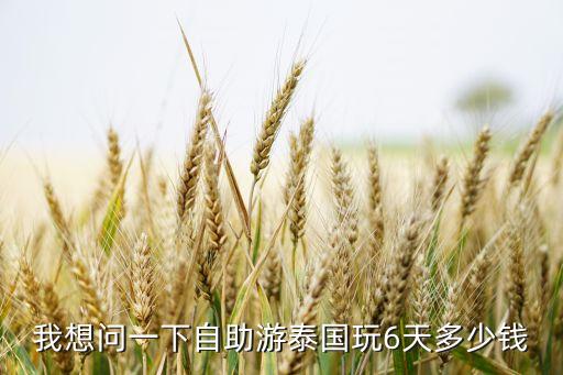 我想问一下自助游泰国玩6天多少钱